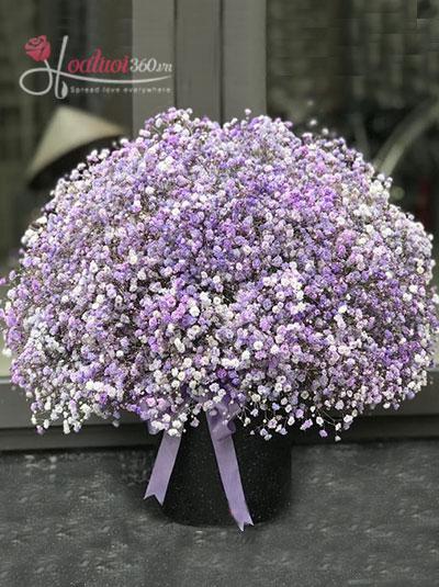 Hộp hoa baby tím - Em là tất cả