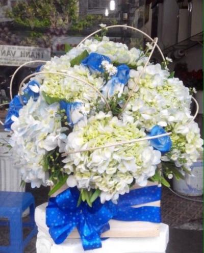 Hộp hoa cẩm tú cầu