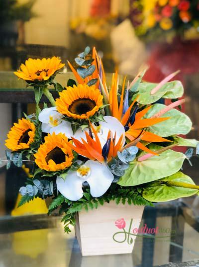 Hộp hoa chúc mừng - Bình yên