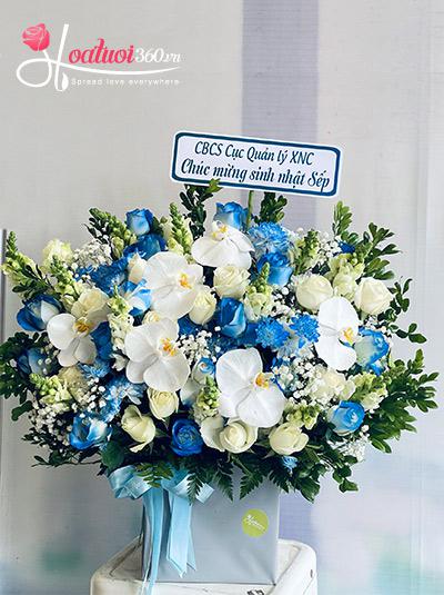 Hộp hoa chúc mừng - Khát vọng vươn cao