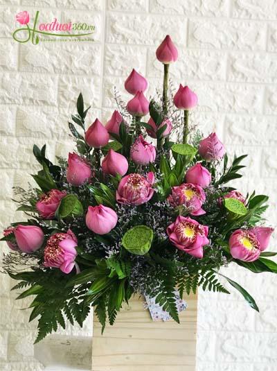 Hộp hoa sen chúc mừng