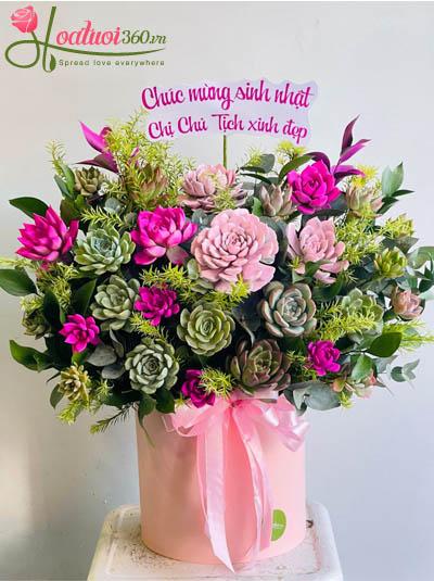 Hộp hoa sen đá - Duyên dáng