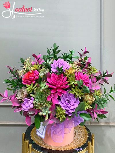 Hộp hoa sen đá - Gió thu lãng mạn