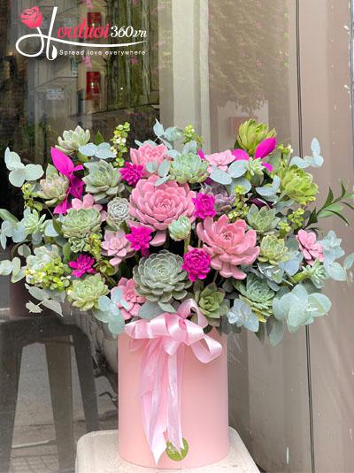 Hộp hoa sen đá - Mật ngọt yêu thương