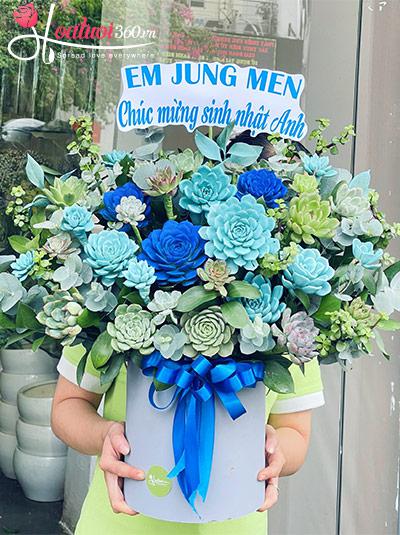 Hộp hoa sen đá - Màu của hy vọng