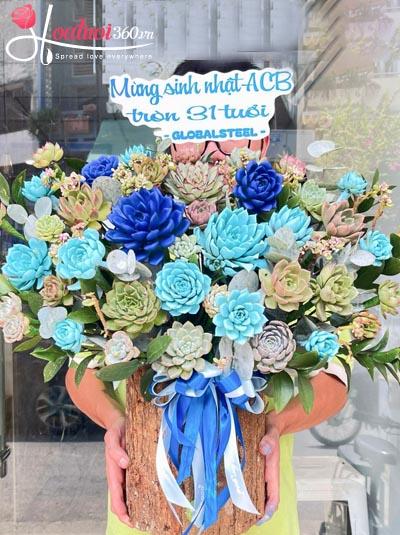 Hộp hoa sen đá - Ước nguyện tốt đẹp