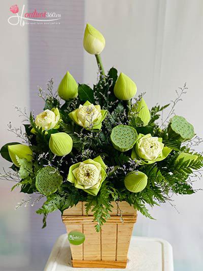 Hộp hoa sen đẹp - Điều quý giá