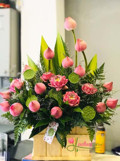 Hộp hoa sen hồng - Thanh tao