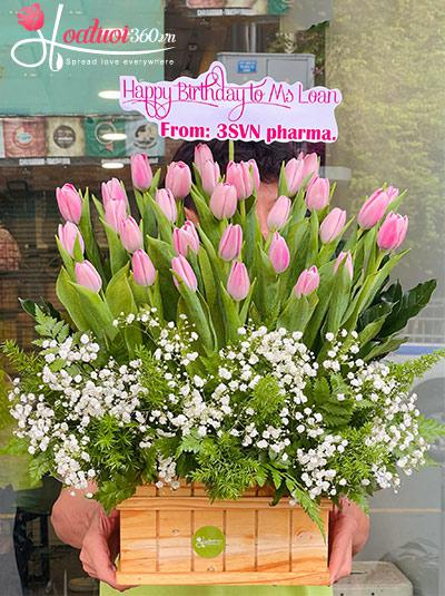Hộp hoa tulip hồng - Gió thu ngọt ngào
