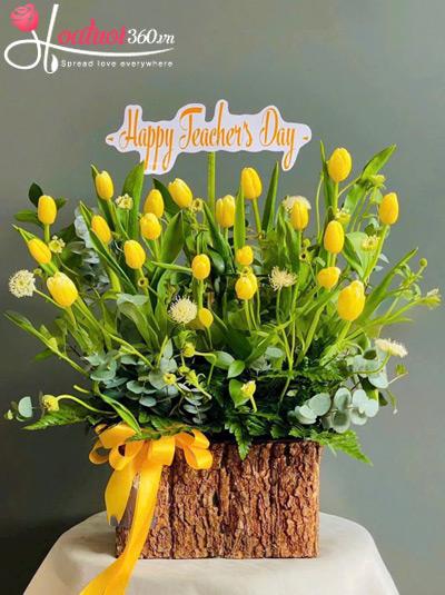 Hộp hoa tulip vàng - Ngày ngày rực rỡ