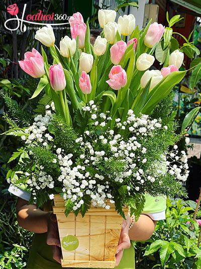 Hộp hoa tulip xinh - Nắng ấm bên tôi
