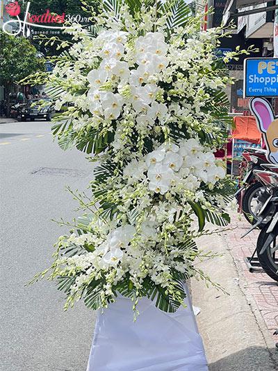 Kệ hoa chia buồn - Mộng trần