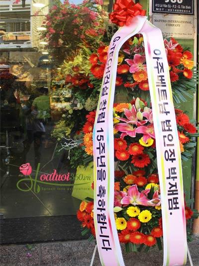 Kệ hoa hàn quốc - Khởi đầu may mắn