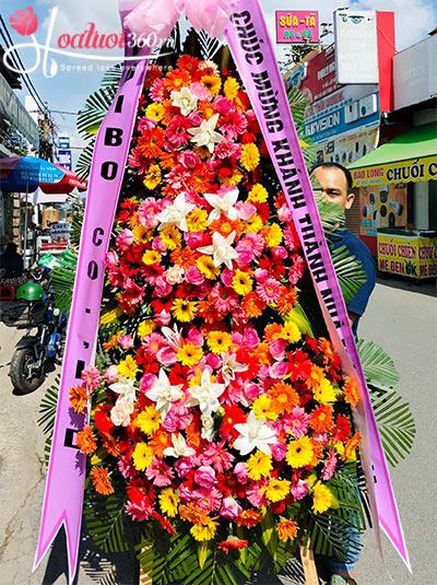 Kệ hoa khai trương Hàn Quốc - Thắng lợi mỹ mãn