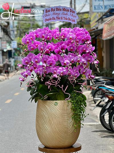 Lan hồ điệp hồng - Phúc duyên vẹn tròn