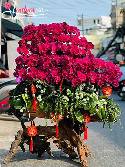 Lan hồ điệp tím ghép gỗ lũa - Lộc xuống nhân gian