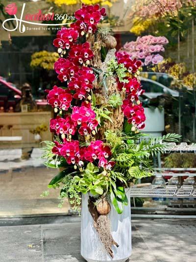 Lan hồ điệp tím ghép gỗ lũa - Vạn giá phú quý