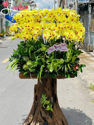 Lan hồ điệp vàng ghép gỗ lũa - Chung vui hưởng phúc