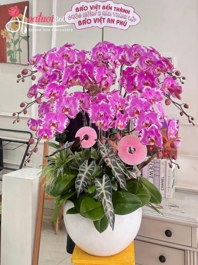 LHDDB - Thịnh vượng vạn niên