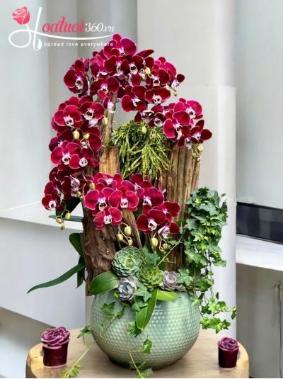 LHDGL - Hồng phúc đại cát