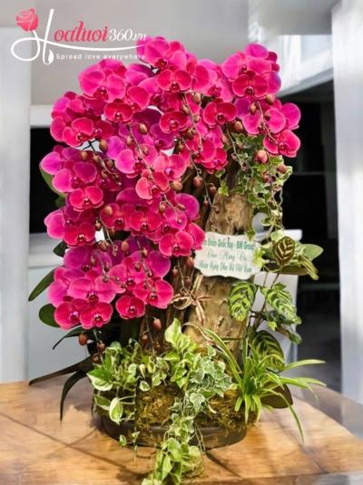 LHDGL - Quý nhân phù trợ