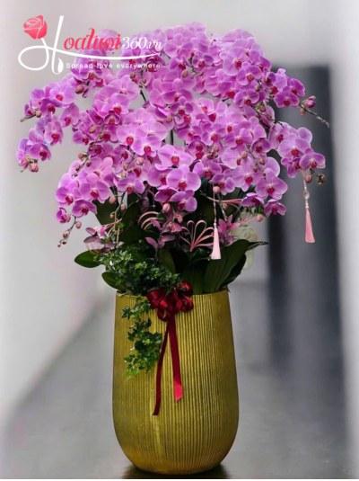 LHDH - Dáng ngọc kiêu sa