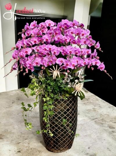 LHDH - Vũ khúc mùa xuân