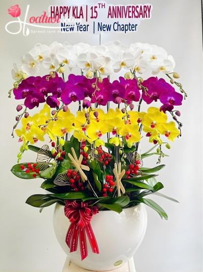 LHDKH - Vươn tầm khát vọng