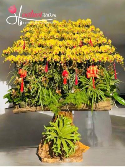 LHDT - Giai điệu mùa xuân