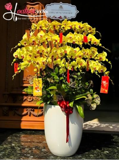 LHDV - Khúc hát giao thừa