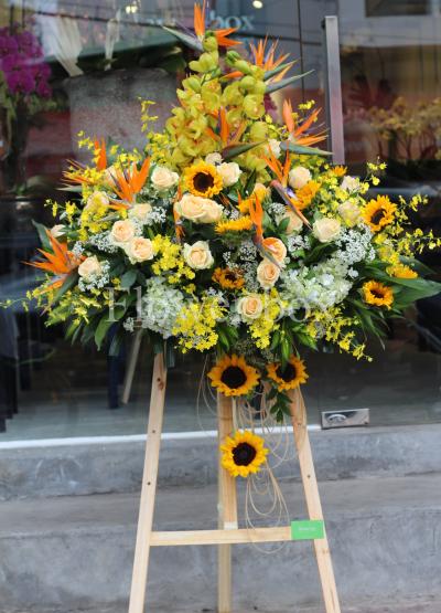 Mã đáo thành công