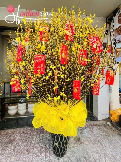 NTX - An khang hỷ lạc