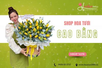 Shop hoa tươi Cao Bằng - Đặt hoa online giao nhanh tận nơi 