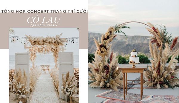 Hoa cỏ lau mang đến sự độc đáo và tinh tế cho bất kỳ sự kiện nào