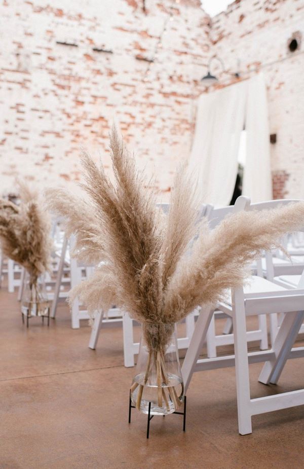 Cỏ lau trang trí cho các shop thời trang, cửa hàng