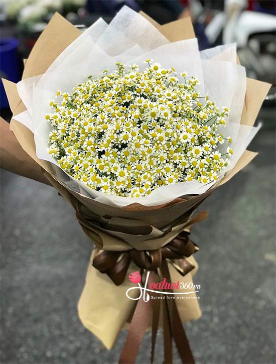 Bó hoa cúc Tana đơn giản