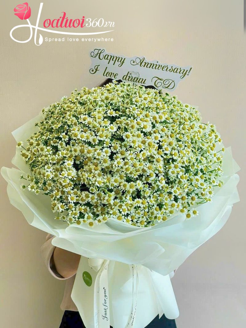 Bó hoa cúc tana ý nghĩa tặng bạn gái