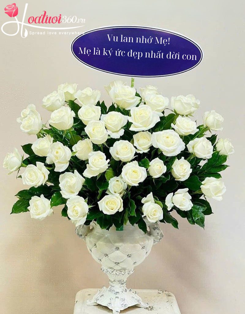 Mẫu hoa hồng trắng nhớ thương Mẹ mùa Vu Lan báo hiếu