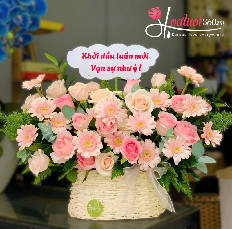 Cách cắm hoa đồng tiền trong giỏ xen kẽ với hoa hồng 