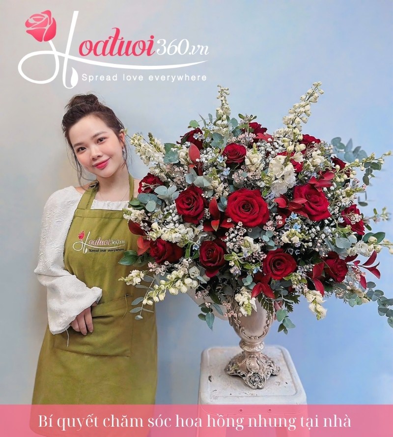 Cách bảo quản hoa hồng nhung 