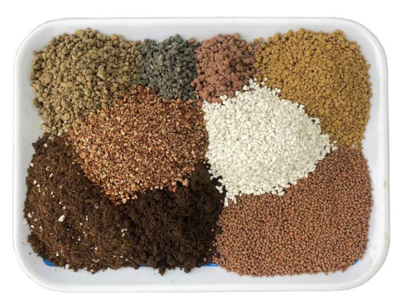 Cách trộn giá thể trồng sen đá