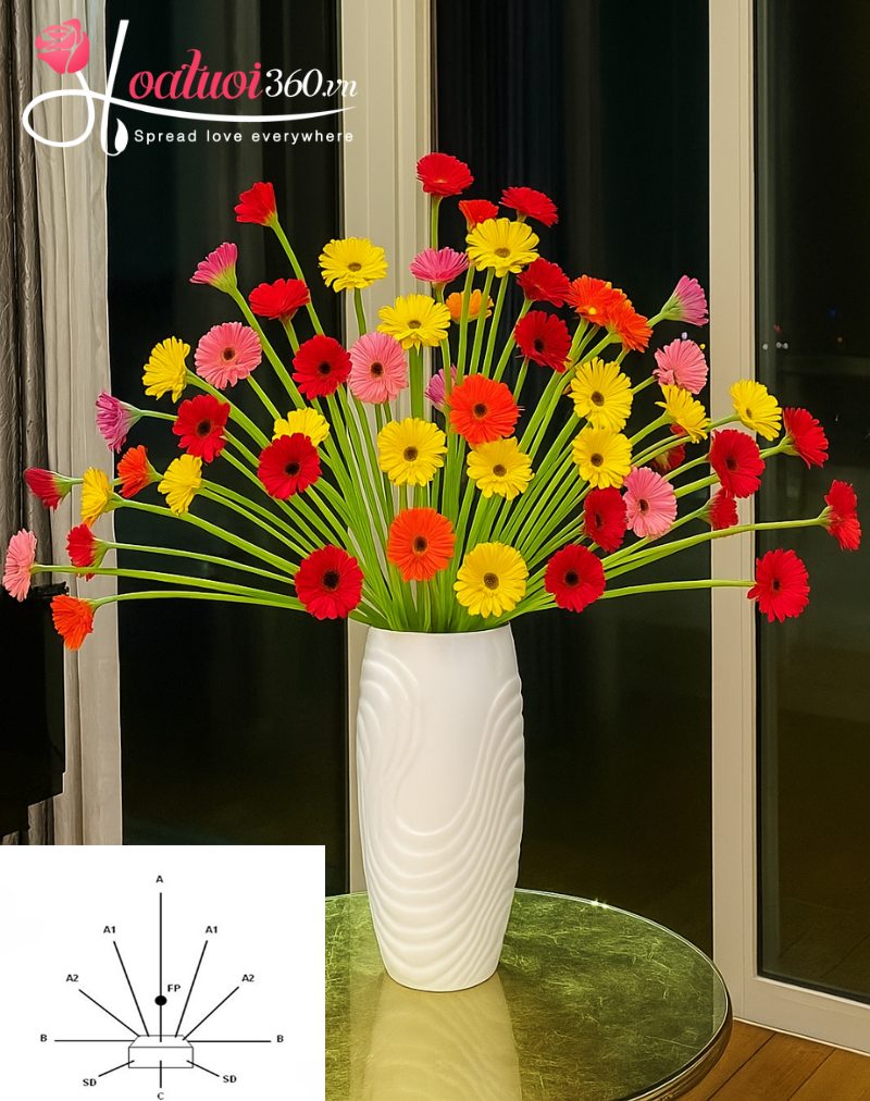 Kiểu cắm hoa đồng tiền trong bình sứ sang trọng 