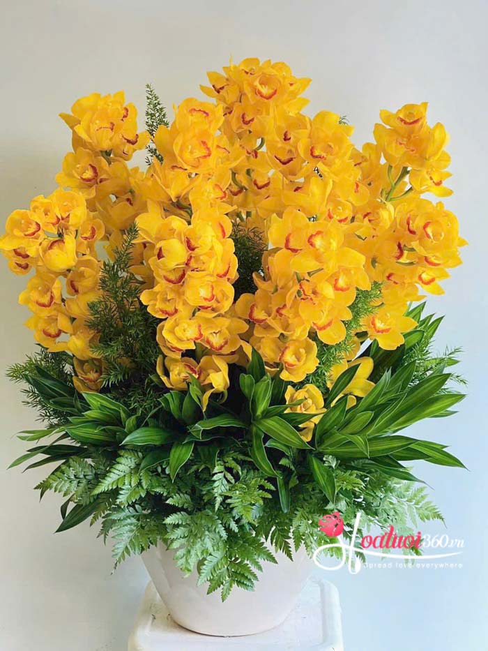 Hoa địa lan xanh cực hiếm