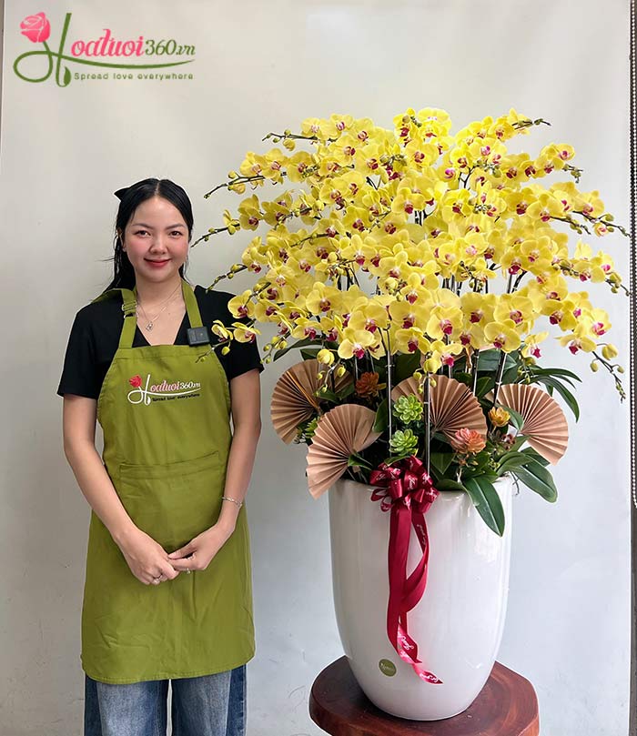 Chậu lan hồ điệp tặng đối tác tại Trung Mỹ Tây Quận 12 