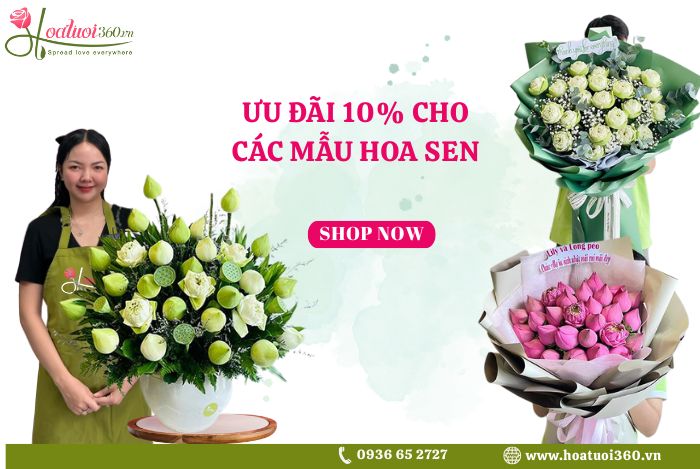 Địa chỉ mua hoa sen cắm tươi lâu nhất TP Hồ Chí Minh