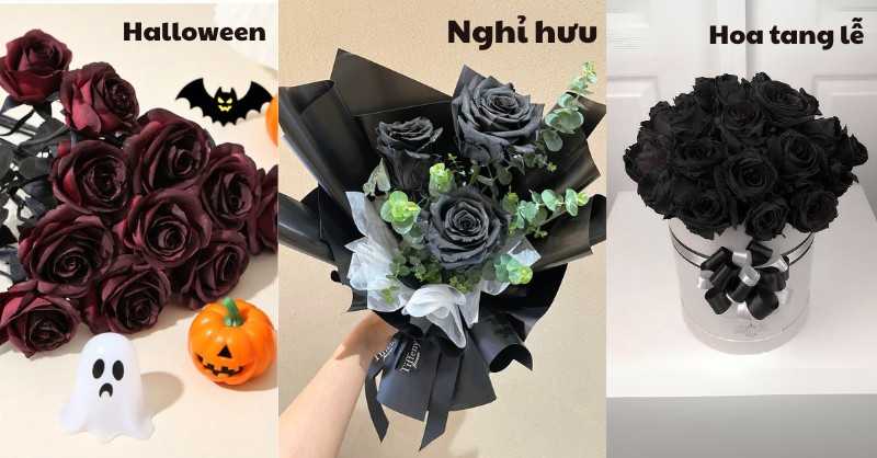 Dịp ý nghĩa nên tặng hoa hồng đen