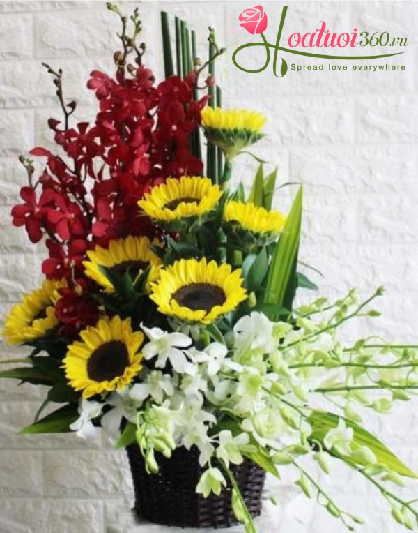 Giỏ hoa lan đẹp nhất