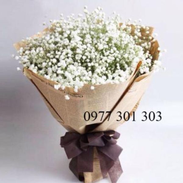 Hoa baby-Trắng tinh khôi