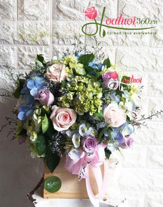 Hoa hộp gỗ - Một ngày mới