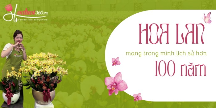 Hoa lan mang trong mình lịch sử hơn 100 năm